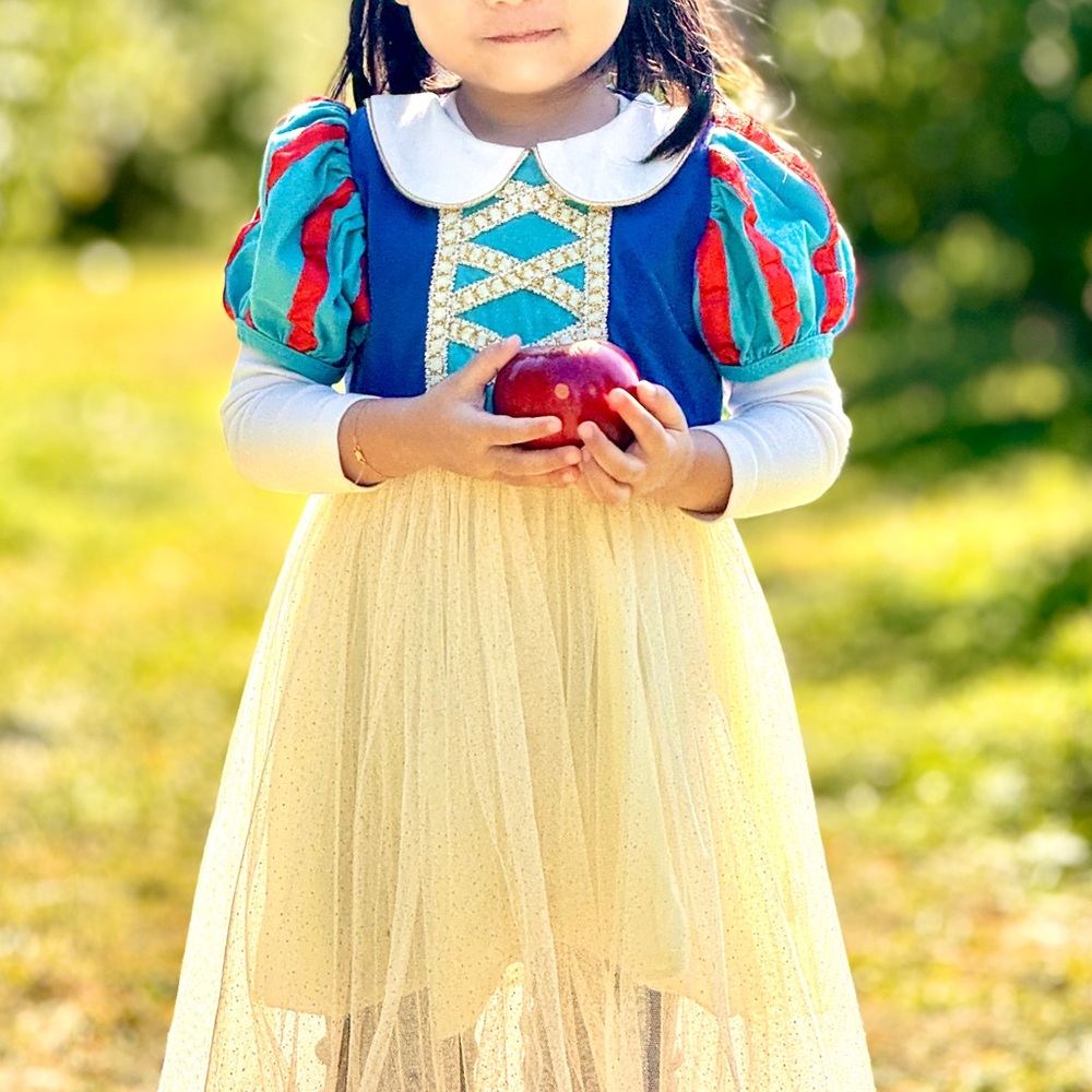 Kids Disney Snow White Princess Costume with Red Bow